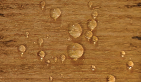 Bird-brand-complete-wood-protector-golden-brown