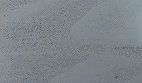 Bird-brand-outdoors-silver-birch