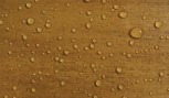 Bird-brand-complete+-superior-wood-preserver-golden-brown