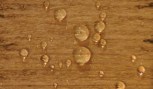 Bird-brand-complete-wood-protector-golden-brown