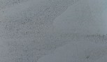Bird-brand-outdoors-silver-birch