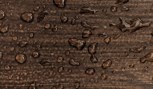 Bird-brand-shed-fence-one-coat-protection-chestnut-brown